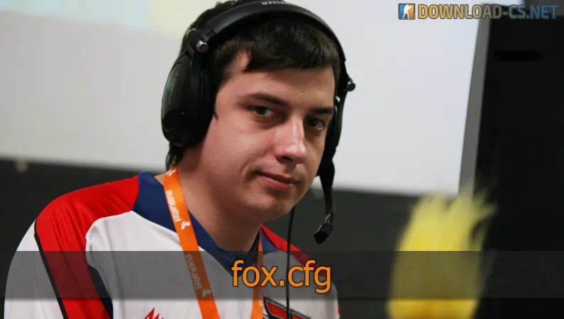 fox.cfg