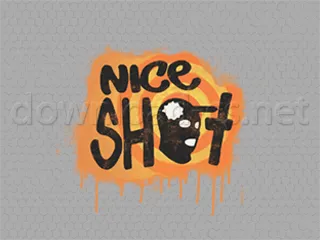 Nice Shot