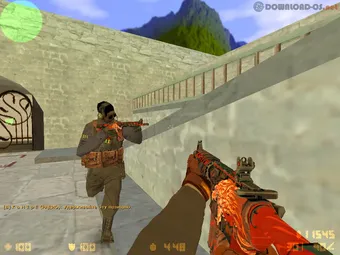 Counter-Strike 1.6 Anarchist