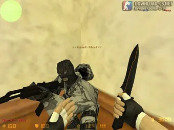 Counter-Strike 1.6 Protected